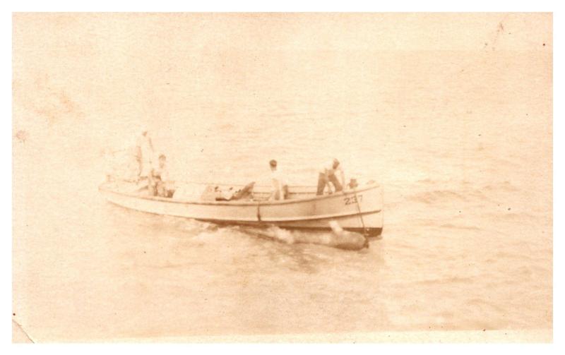 Sailors Landing Hammerhead Shark , USS McFarland , RPC