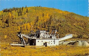 Gold Dredge On a Gold Creek View Postcard Backing 