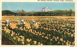 Vintage Postcard Interior Of Southern Loose-Leaf Tobacco Warehouse Asheville