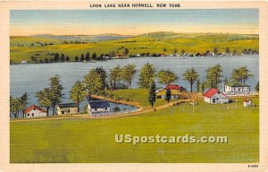 Loon Lake - Hornell, New York NY  