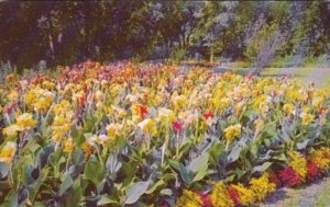 Minnesota Minneapolis Flower Garden Near Lake Harriet