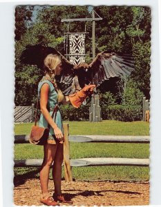 Postcard Bird of Prey Show, Weeki Wachee Spring, Weeki Wachee, Florida