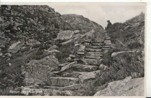 Wales Postcard - Roman Steps - Llanbedr - Merionethshire - Ref 15622A