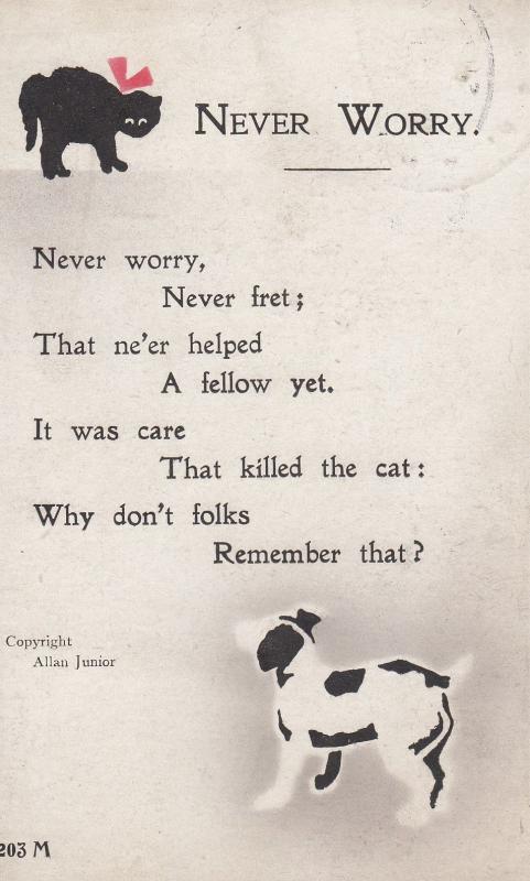 Never Worry The Dog That Killed The Cat Comic Songcard Humour Postcard