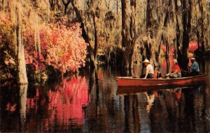 CYPRESS GARDENS Charleston, South Carolina Boat Flowers c1950s Vintage Postcard