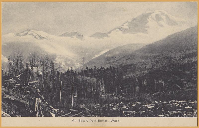 Mt. Baker from Sumas, Washington, Logged out area w/tracks-1908