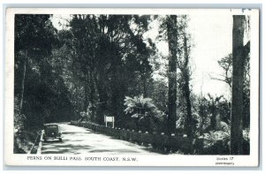 c1950's Ferns on Bulli Pass South Coast N.S.W. Australia Unposted Postcard