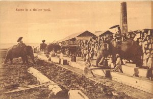 SCENE IN A TIMBER YARD ELEPHANTS RANGOON BURMA ASIA LOGGING POSTCARD (c. 1910)