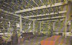 Iowa Amana Ackeman Winery 100 Year Old Grape Arbor