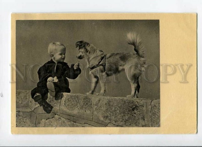 3087350 Charming Boy & SPITZ Dog in Collar Old Photo PC