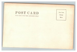 Vintage 1900's RPPC Postcard Sailboat on Lake Nice Shot