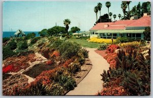 Vtg Laguna Beach California CA Heisler Park 1960s View Postcard