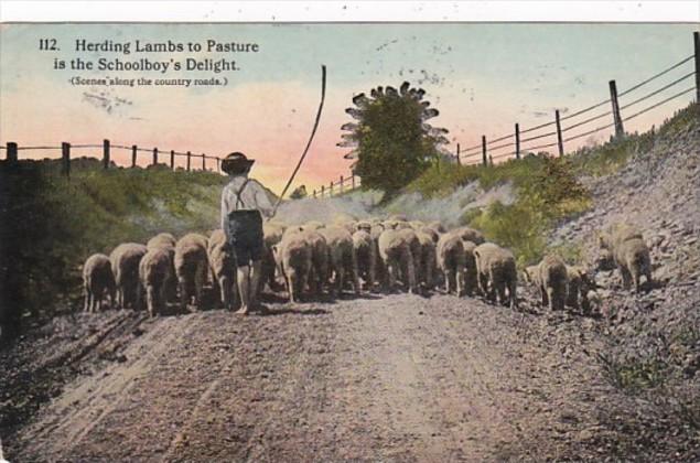 Herding Lambs To Pasture Is The Schoolboy's Delight 1916