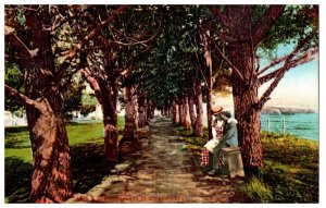 No. 1476 Happy Moments at Lovers Lane Mitchell Postcard