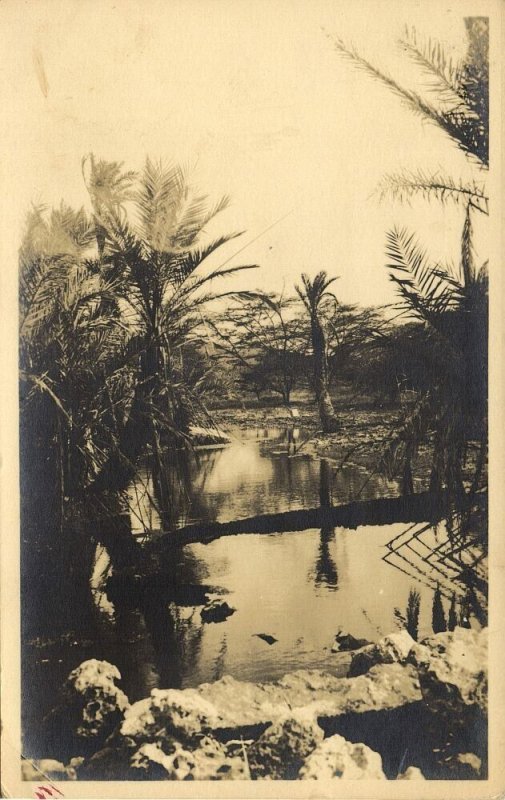 curacao, D.W.I., River Scene with Palm Trees (1920s) Sunny Isle RPPC Postcard