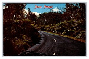 Fern Forest on Road to Kilauea Hawaii HI Chrome Postcard V22