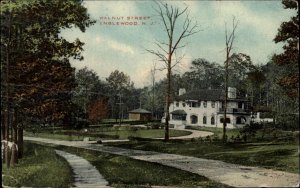 Englewood New Jersey NJ Walnut St. c1910 Postcard