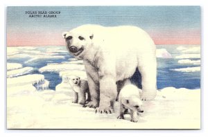 House Of Yesterday Museum Hasting Nebraska Postcard Polar Bear Group