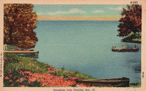 Vintage Postcard 1930's Greetings From Pistakee Bay Illinois C.T. Outdoor Scenes