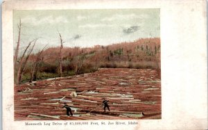 1910s Mammoth Log Drive St. Joe River ID Postcard