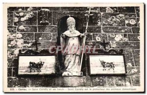 Old Postcard Carnoc Saint Cornely Cornely and Steers is the Protector of