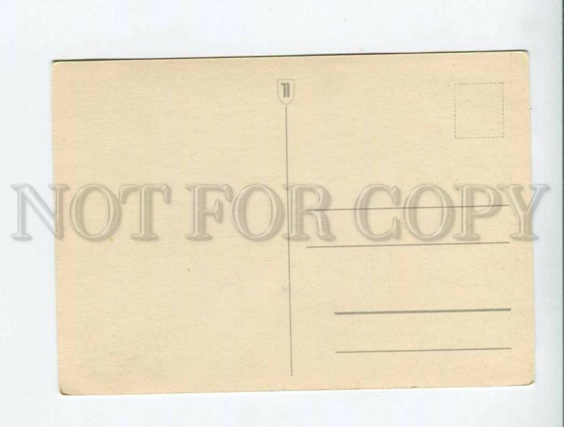 3011798 Cute SPITZ Portrait Old Photo color PC