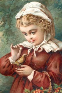 1880s-90s Victorian Trade Card Adorable Child Holding Wild Bird F148