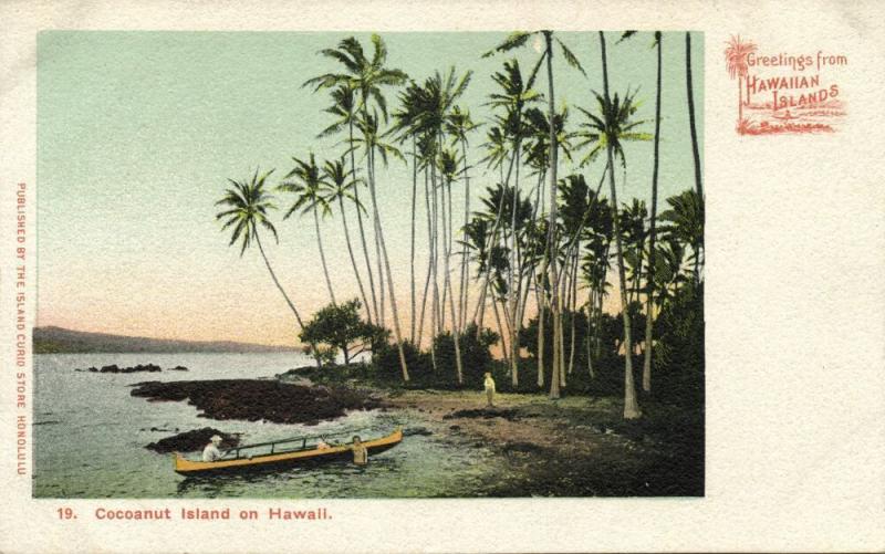 Hawaiian Islands, Cocoanut Island, Palm Trees (1900) Private Mailing Card