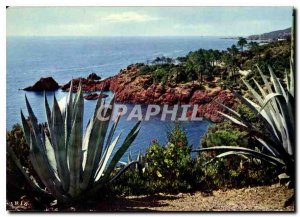 Postcard Modern Reflections of the French Riviera The Gold Cornice Mediterran...