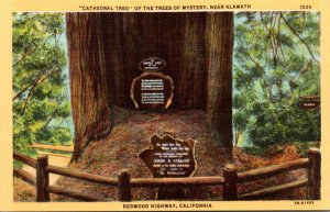 California Redwood Highway Trees Of Mystery Cathedral Tree Near Klamath Curteich