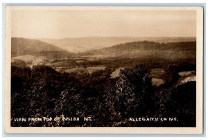 c1922 Polish Mt. Top View Allegany County Maryland MD RPPC Photo Postcard