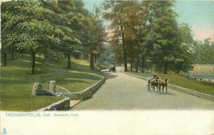 Indianapolis Indiana Brookside Park Tuck #2348 Postcard 21-5054