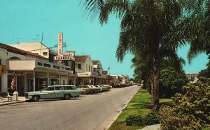 Vintage Postcard 1973 Palm Lined Boulevard Business Area Venice Florida Florida