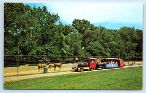 BISMARCK, North Dakota ND ~ Dakota ZOO TRAIN Miniature Railroad c1960s Postcard