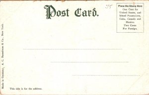 Boston Massachusetts Ma Postcard - Public Garden