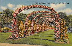 Elizabeth Park Rose Garden Hartford CT 