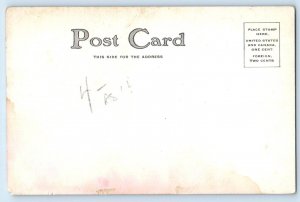 c1905 Anthropomorphic Bear Sledding Winter St. John Signed Artist Postcard