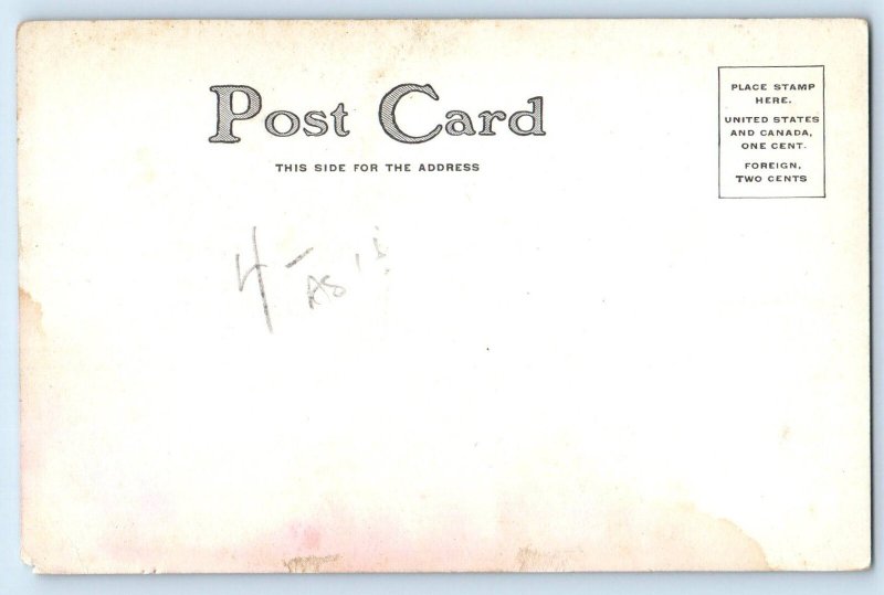 c1905 Anthropomorphic Bear Sledding Winter St. John Signed Artist Postcard