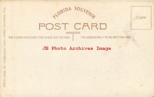 313137-Black Americana, Cochrane No 12811, Blackville Serenade in Florida