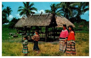 Postcard NATIVE INDIAN SCENE State of Florida FL AQ2529