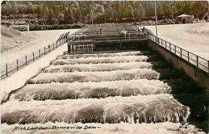 OR, Bonneville, Oregon, Bonneville Dam, Fish Ladder, PV No. P-6, RPPC