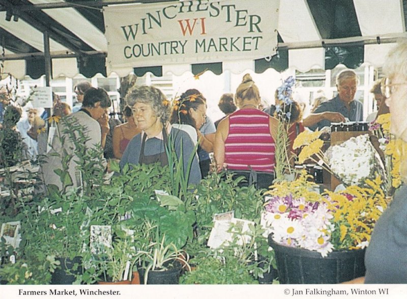 Farmers Market Winchester Hampshire Postcard