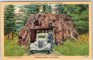 1936 Redwood Highway, Cali Giant Tree Stump Garage Linen Photo Hwy CA Teich A211