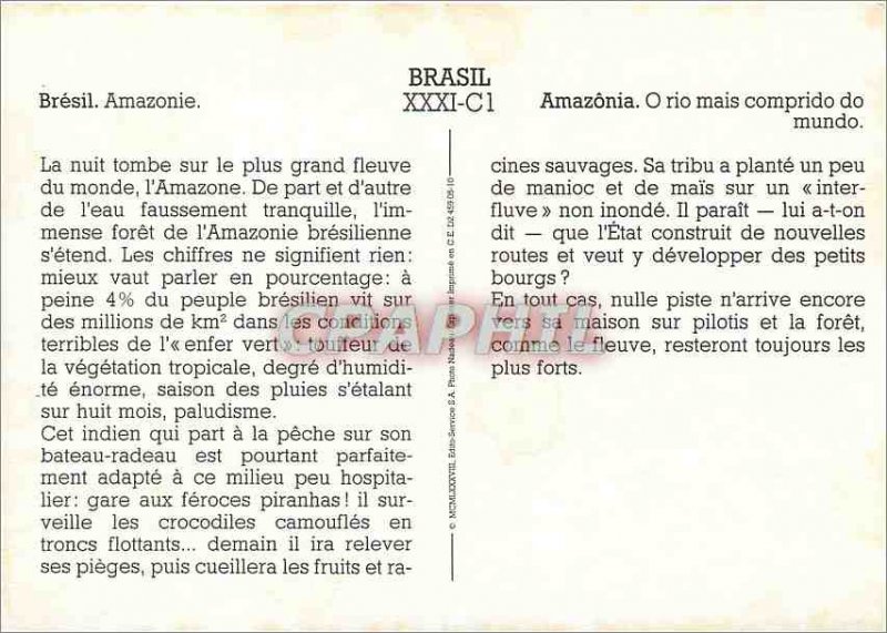 Postcard Modern Amazonia Brasil