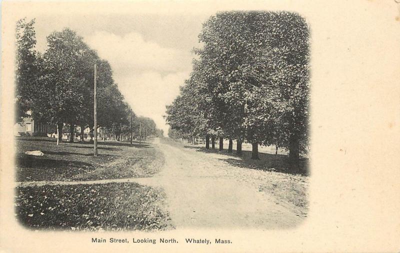 c1905 Lithograph Postcard Main Street Scene Whately MA Franklin County Unposted