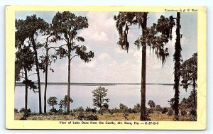 MT. DORA, Florida FL ~ LAKE DORA View from Castle 1950 Lake County Postcard