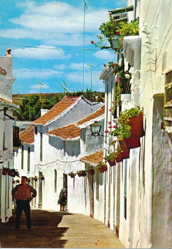 (3 cards) Streets of Estepona, Spain