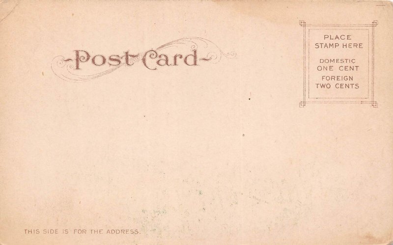 J76/ Honolulu  Postcard c1910 Punch Bowl Diamond Head Man 267