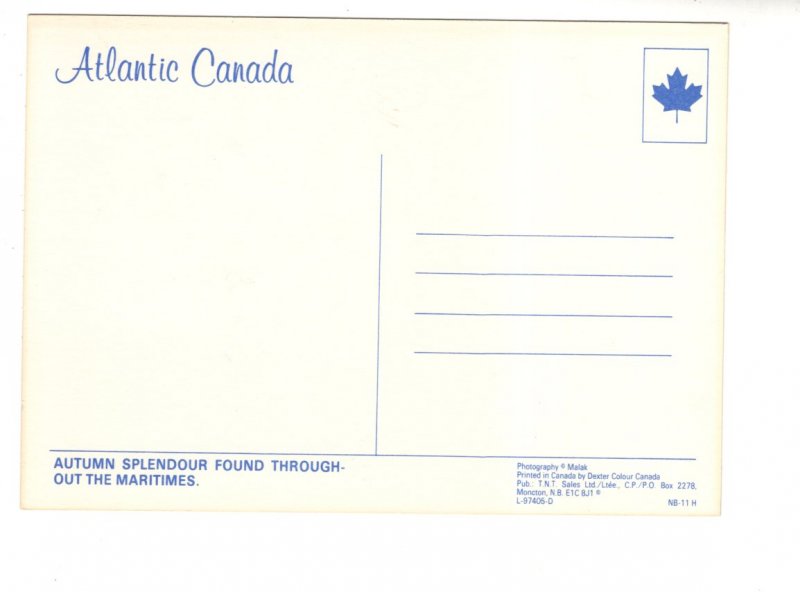 Large 5 X 7, Autumn The Marine, Canada,