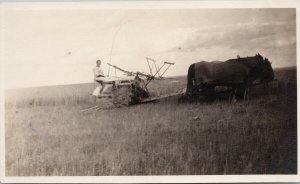 Horses and Binder Farming Agriculture near Goodrich Canada Postcard F99